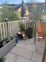 IMG_7980.jpeg