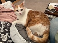 IMG_7988.jpeg