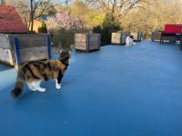 IMG_3997.jpeg