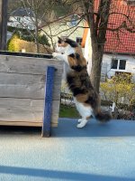 IMG_4001.jpeg