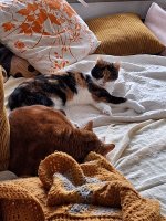 20250130_104747.jpg