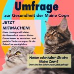 Unbenanntes_Projekt.jpeg