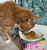 IMG_1422.jpeg