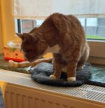 IMG_1450.jpeg