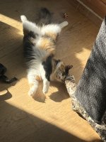 IMG_3958.jpeg