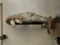 IMG_3814.jpeg