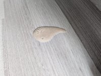 PXL_20250418_131812655.jpg