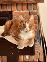 IMG_1119.jpeg