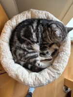 IMG_5081.jpeg