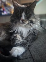 20230330_181809.jpg