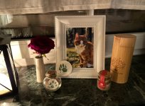IMG_1613.jpeg