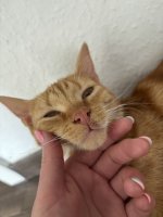 IMG_2382.jpeg