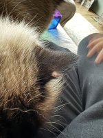 IMG_4848.jpeg