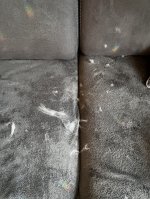 IMG_0705.jpeg