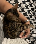 IMG_9473.jpeg