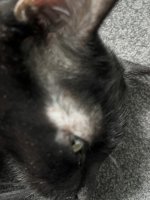 IMG_7549.jpeg