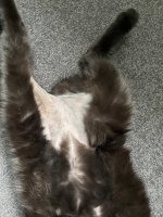 IMG_7548.jpeg