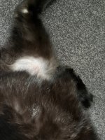 IMG_7547.jpeg