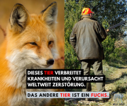 DIESES-TIER-VERBREITET-KRANKHEITEN-UND-VERURSACHT-WELTWEIT-ZERSTÖRUNG.png