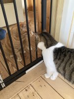 IMG_7589.jpeg