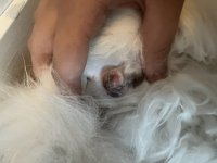 IMG_4659.jpeg