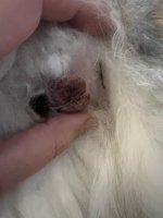 IMG_4658.jpeg