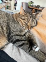 IMG_5841.jpeg
