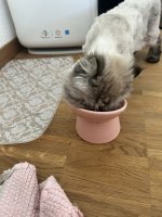 IMG_4134.jpeg