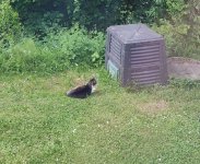 IMG_20250517_165233.jpg