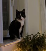 IMG_1400.jpeg