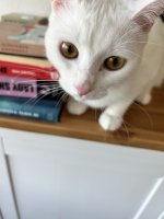 IMG_4215.jpeg