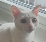 IMG_4218.jpeg