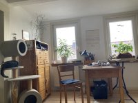 IMG_7632.jpeg