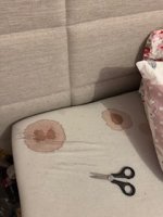 IMG_9052.jpeg