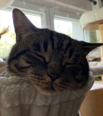 IMG_5826.jpeg