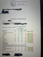 IMG_8765.jpeg