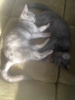 IMG_8005.jpeg