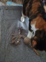 IMG_20250522_193700384.jpg