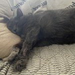 IMG_3614.jpeg