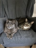IMG_3277.jpeg