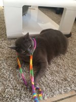 IMG_2026.jpeg