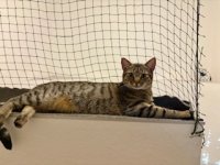 IMG_5146.jpeg