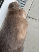 IMG_4028.jpeg