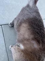 IMG_3939.jpeg