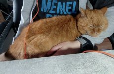 Medien (17).jpg