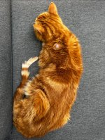 IMG_5292.jpeg