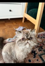 IMG_5481.jpeg