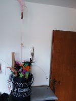 IMG_20250607_193338842.jpg