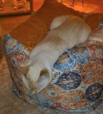 VideoCapture_20250607-234831.jpg