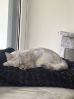 IMG_1906.jpeg